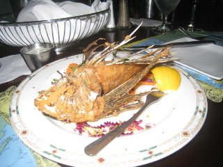 Lionfish in the keys